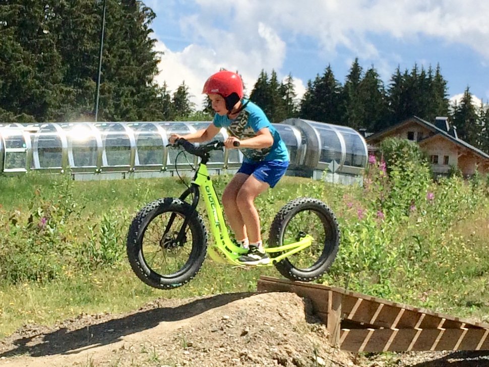 Chalé de madeira nos Alpes no verão